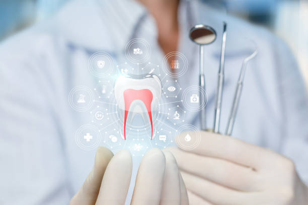 Trusted Myersville, MD Holistic Dental Care Services Experts